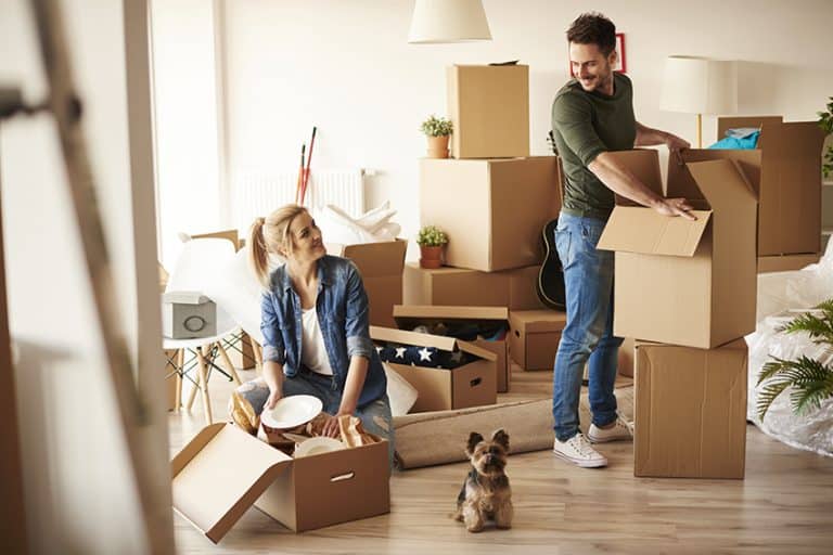 moving day with dogs