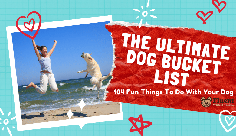 The Ultimate Dog Bucket List- 104 fun things to do with your dog