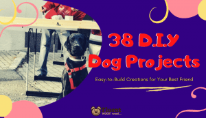 38 DIY Dog Projects