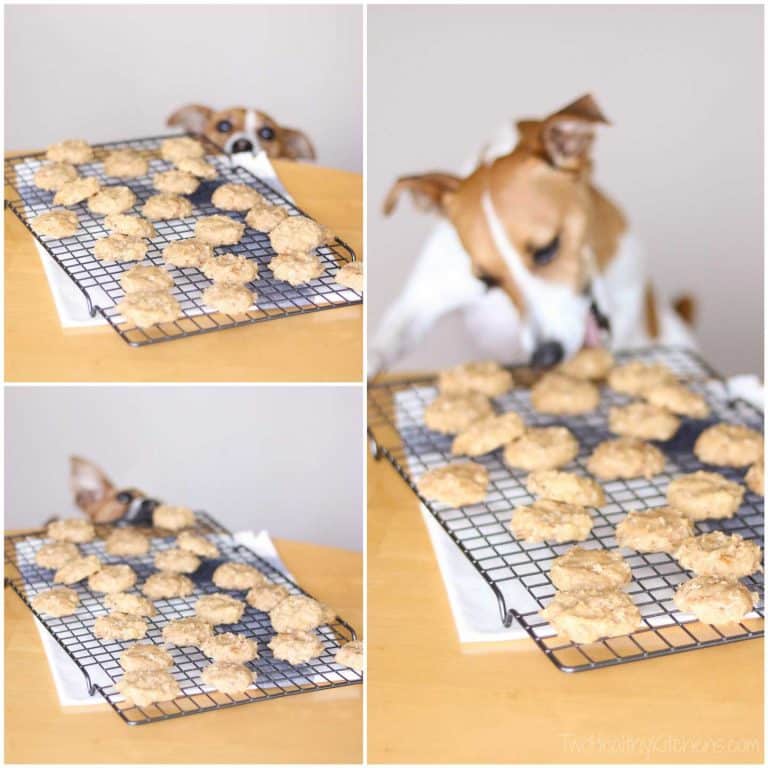 4-Ingredient Chicken and Biscuits Homemade Dog Treats