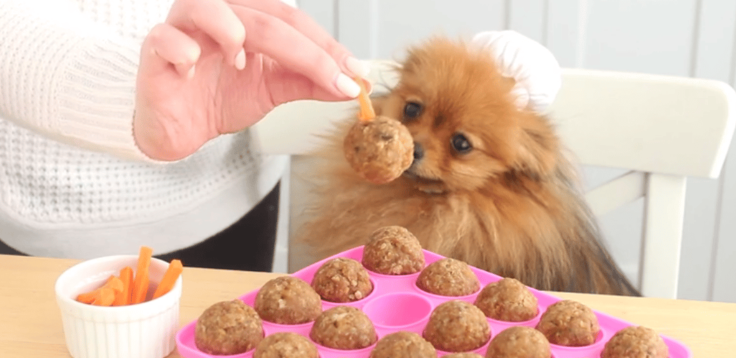 105 Homemade Dog Treat Recipes Healthy & SuperWoof Easy