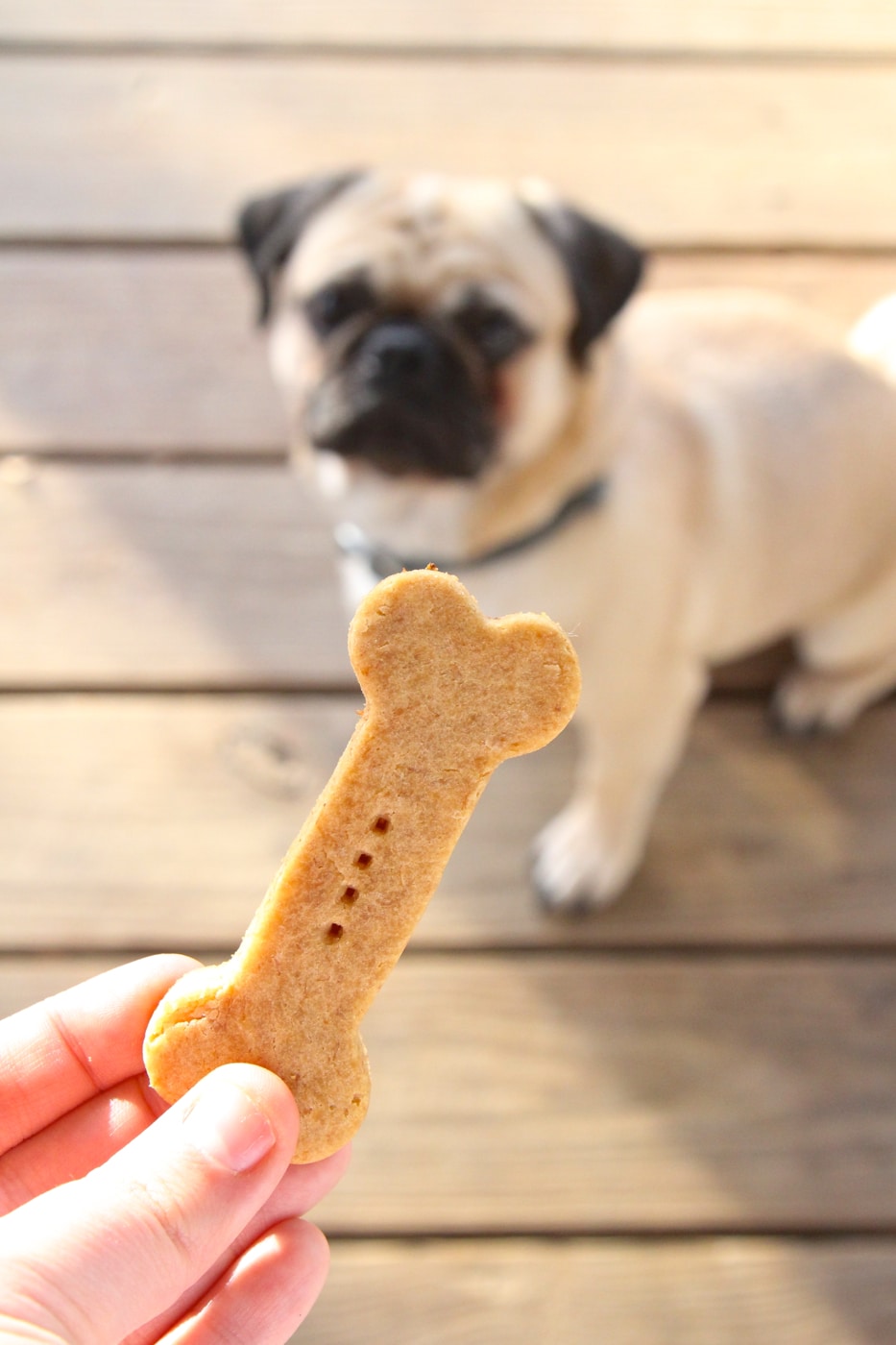 105 Homemade Dog Treat Recipes Healthy & SuperWoof Easy