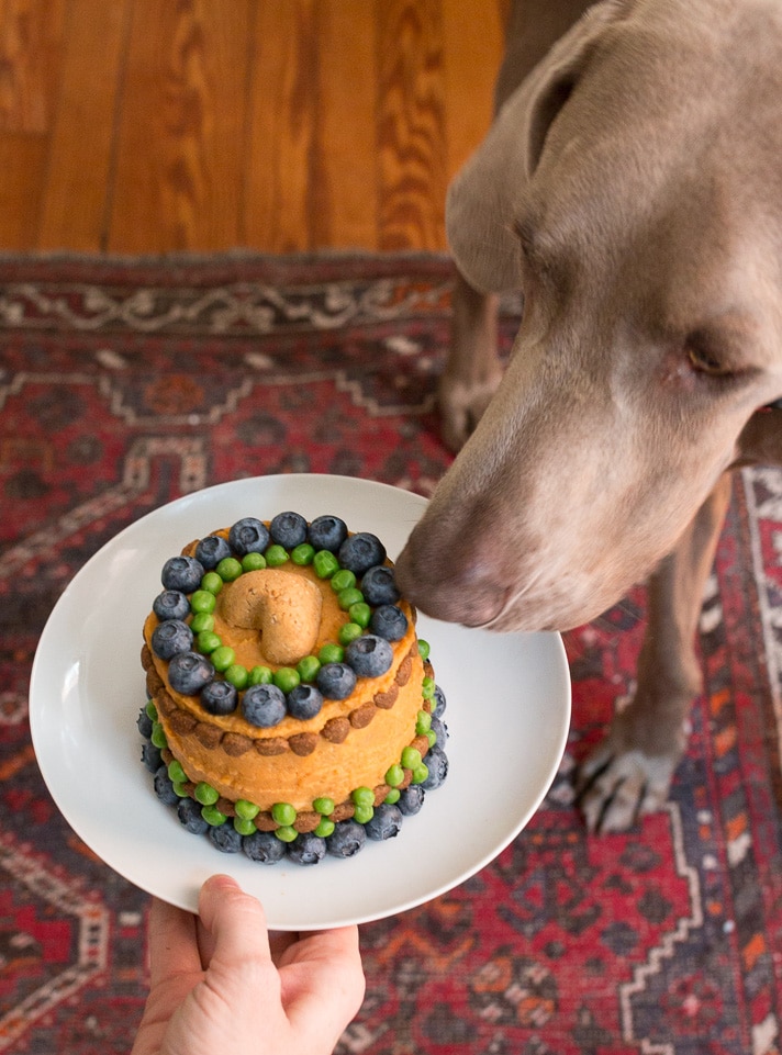 Dog Birthday Cake Recipe Meatloaf and Veggies