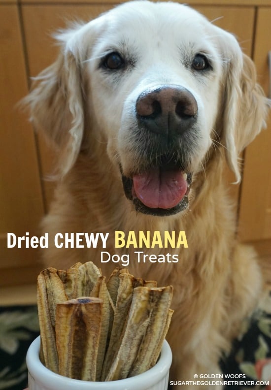 Dried Chewy Banana Dog Treats