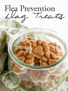 105 Homemade Dog Treat Recipes: Healthy & Super-Woof Easy