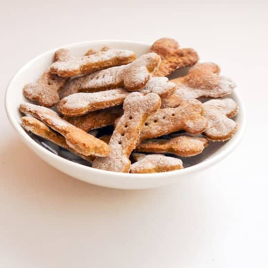 Low-Fat Organic Dog Biscuits