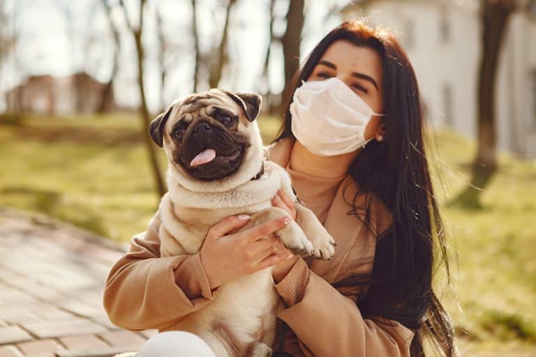 What Should I Do Differently With My Dog If I Have Coronavirus?