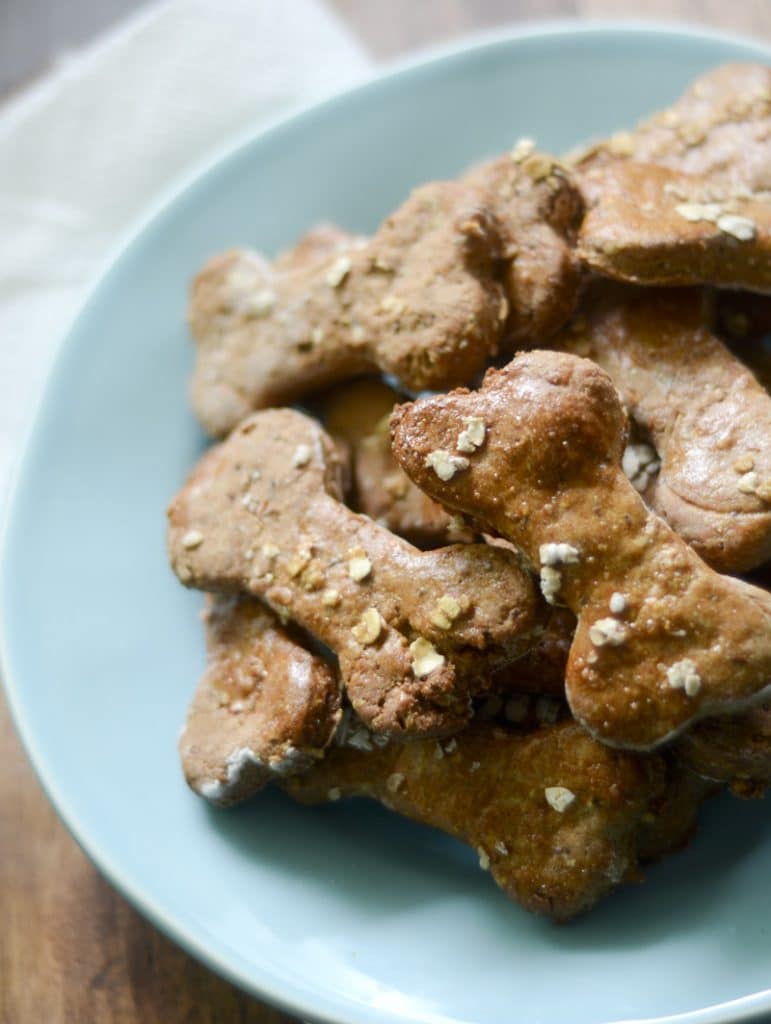 dog biscuit recipe oatmeal dog biscuit recipe oatmeal