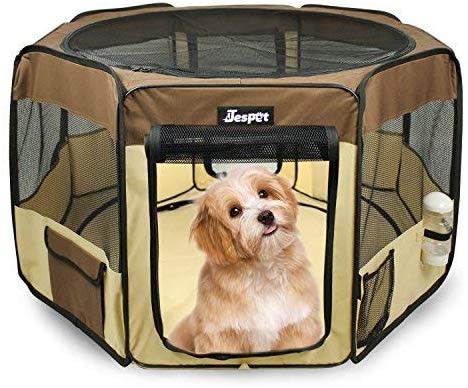 portable dog fence for camping