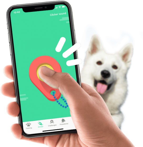 dog clicker sound