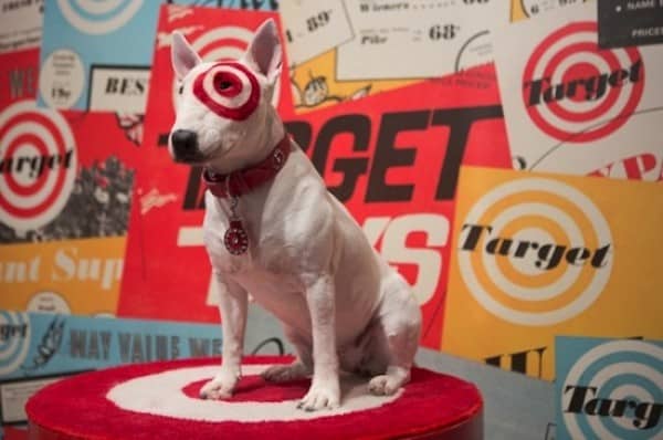 Bullseye the Miniature Bull Terrier dog breed Target