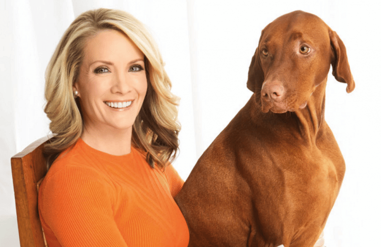 Jasper, the hungarian vizsla dog breed Dana Perino