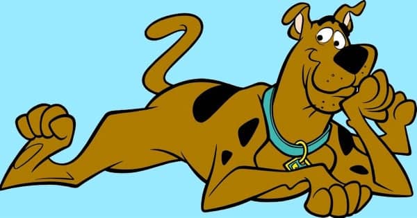 Scooby Doo the Great Dane dog breed