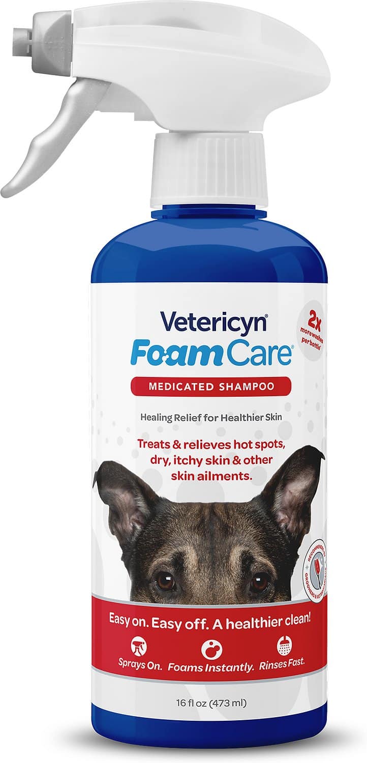 10 Best Hot Spot Shampoos For Dogs We Asked A Vet