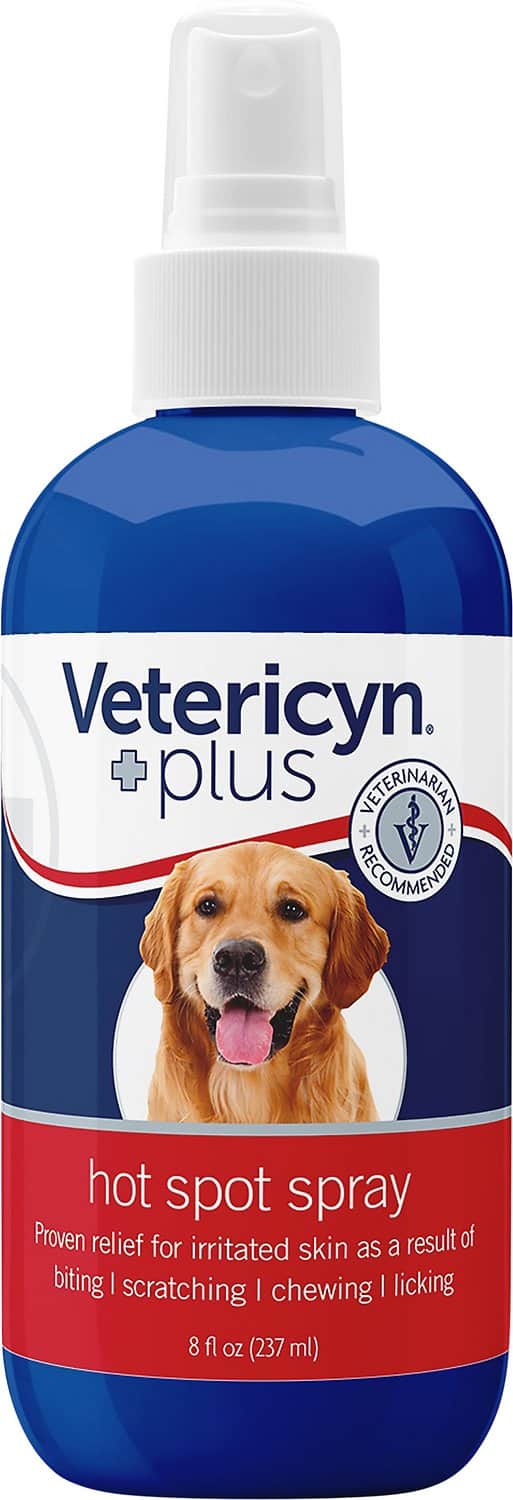 10 Best Hot Spot Shampoos For Dogs We Asked A Vet