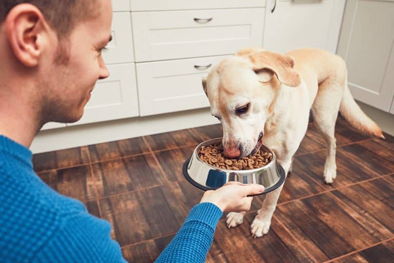 dog food with glucosamine and chondroitin