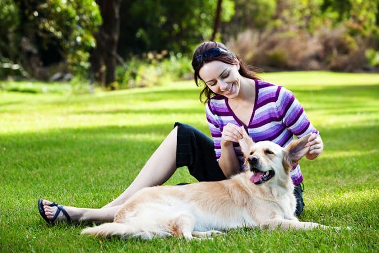 Avoid Checking Your Dog’s Ears Around Your Young Children