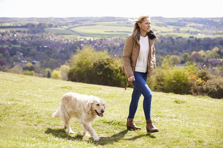 Train Your Pup to Walk on a Loose Lead