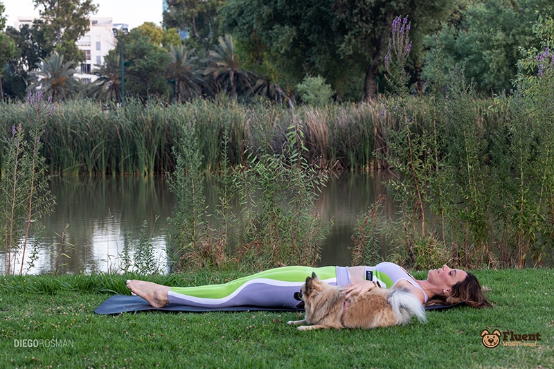 doga savasana the corpse pose