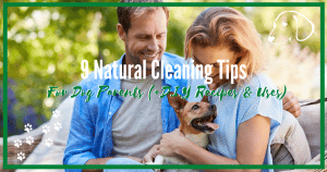 house cleaning tips for dog owners