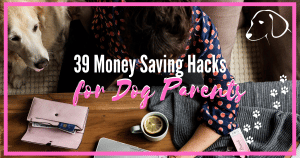 money saving tips for dog owners