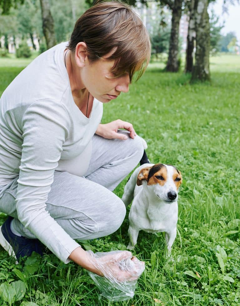 save on poop bags