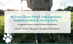 chew proof dog leash