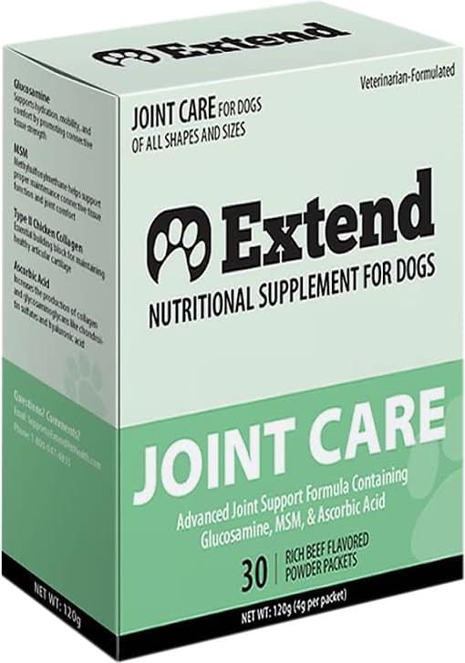 14 Best Joint Supplements for Dogs We Asked A Vet