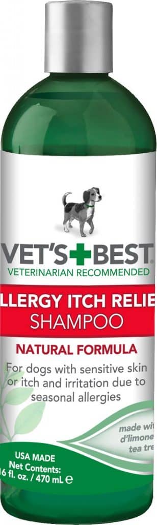 15 Best Dog Shampoos For Itchy Skin: We Asked A Vet