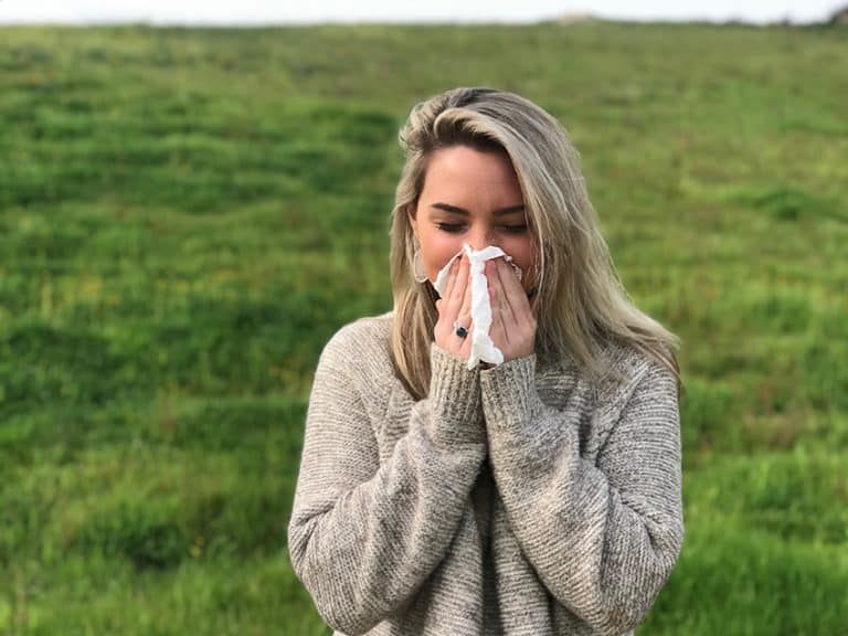 10 Best Dog Shampoos For Dander Control Buyer's Guide + Reviews