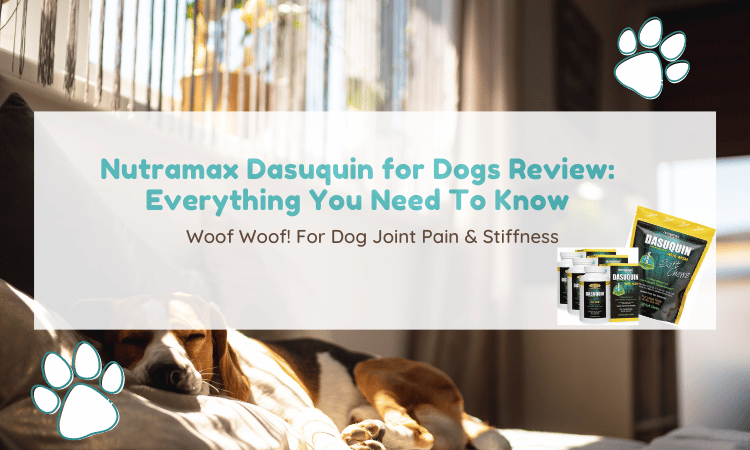 Dasuquin Advanced Rebate 2019 categoryid 105 welcome To Buy Up To 61 