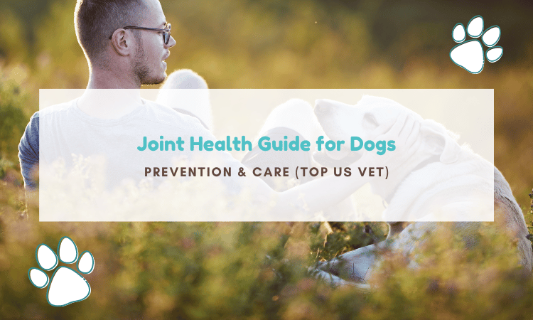 dog joint health care