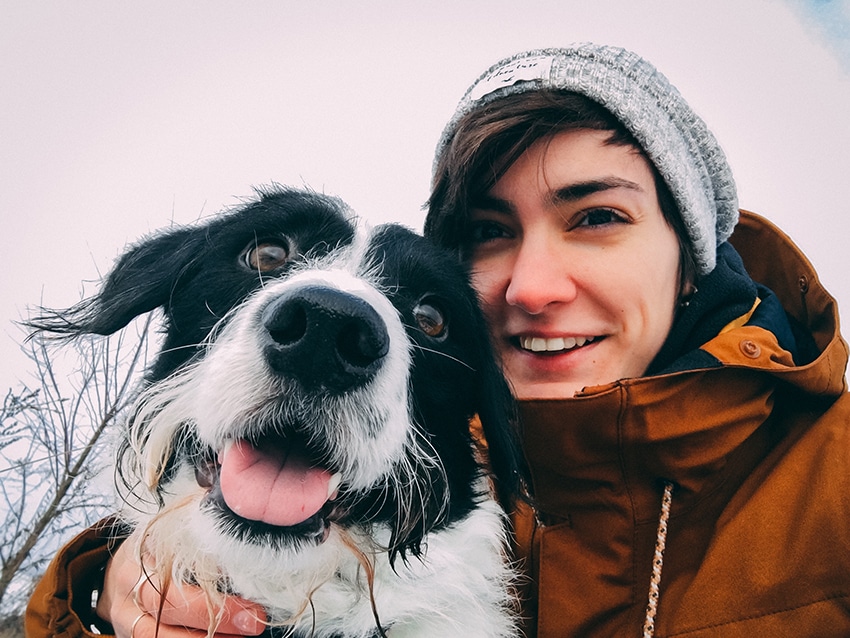 be proactive about your dogs winter safety