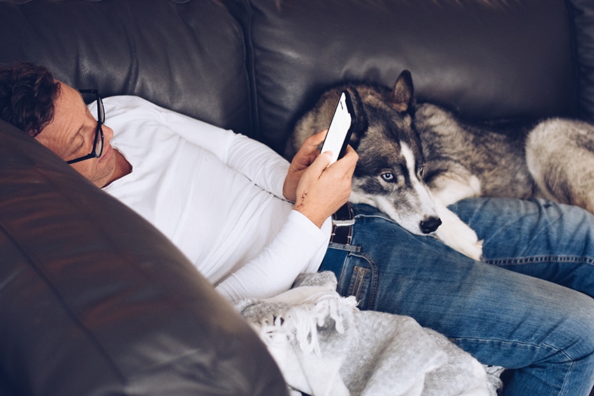 owner with his dog staying informed