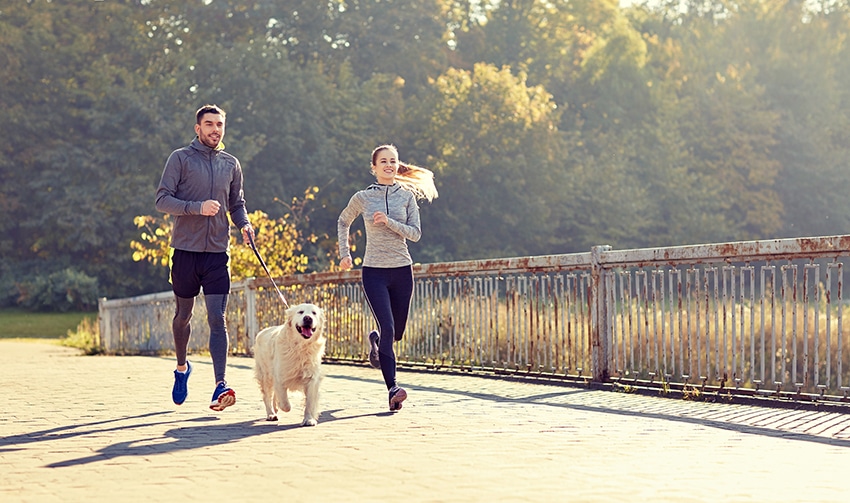 Best Age to Start Running With Your Dog