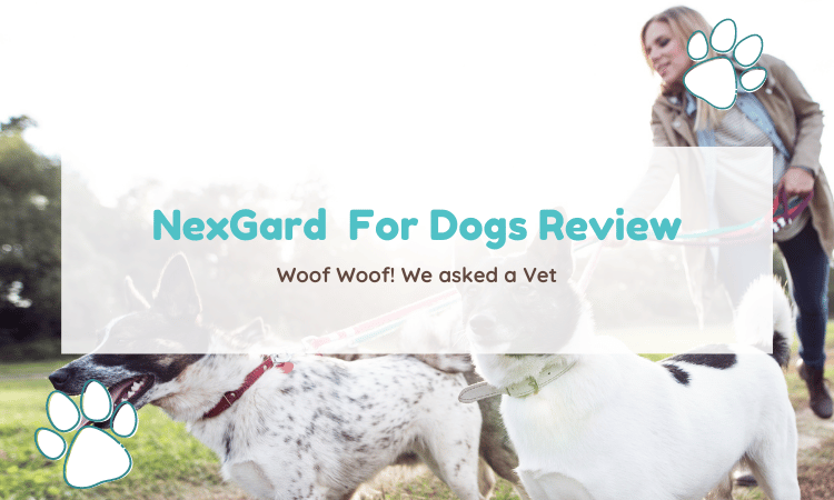 nexgard for dogs review