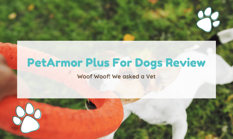 petarmor plus for dogs review