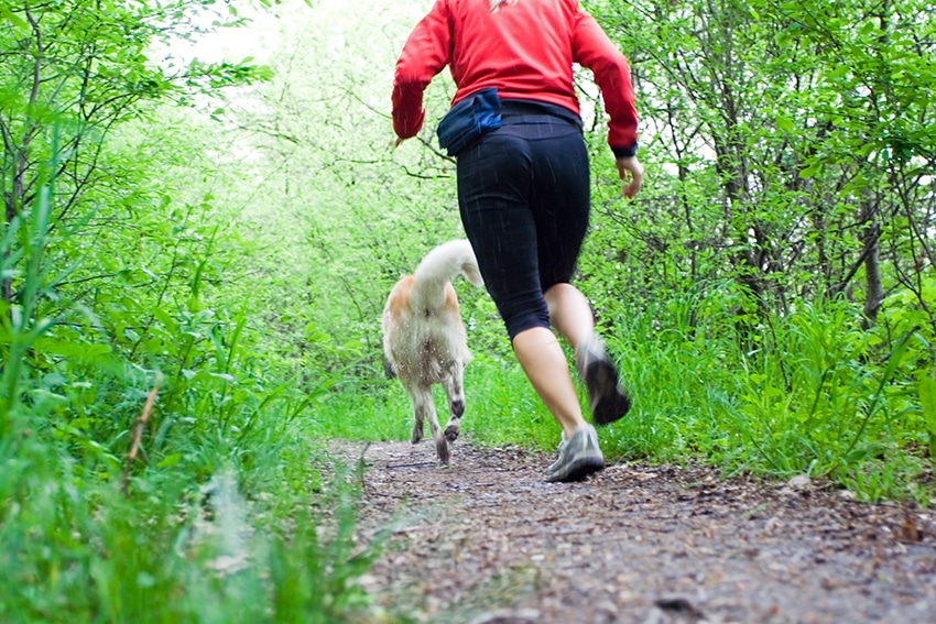 running with your dog