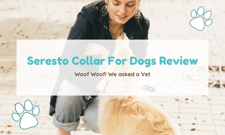 seresto collar for dogs review
