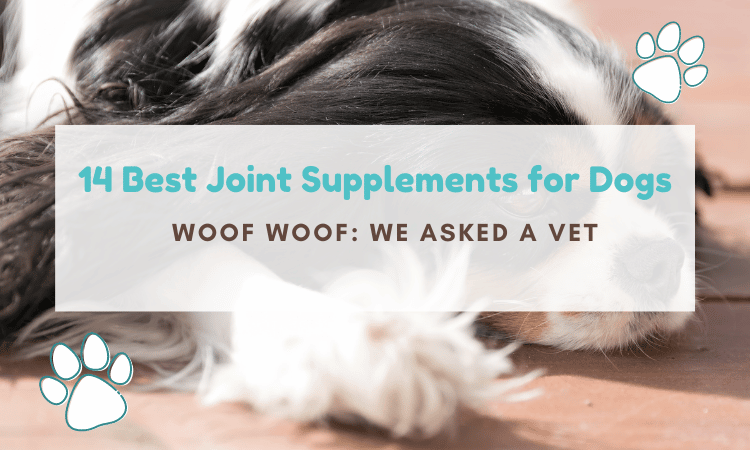 best dog joint supplement