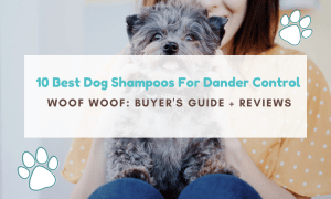 best dog shampoo for dander
