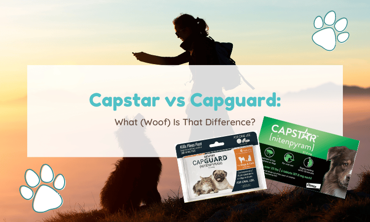 capstar vs capguard