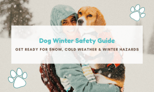 winter cold- eather safety