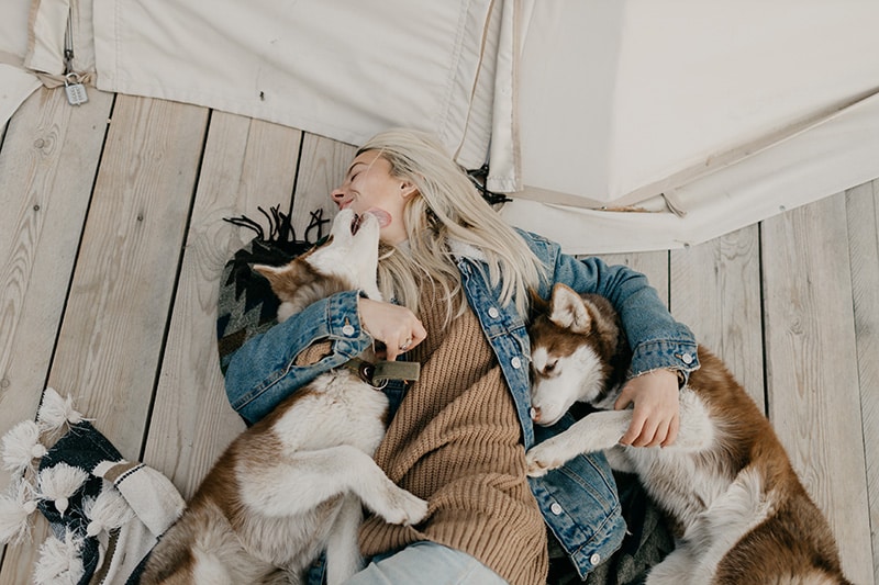 A Dog Mom is lying on the floor with her two Huskies while one of them kisses her