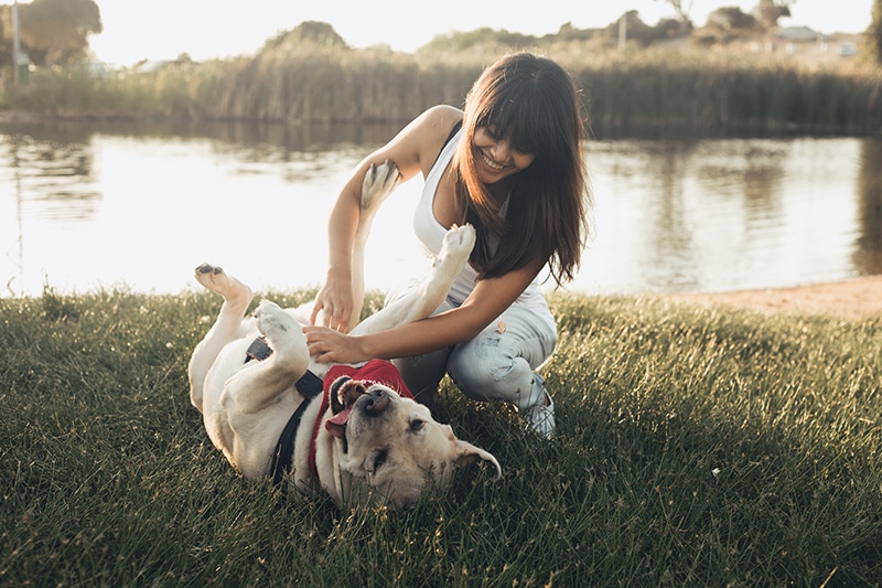 woman playing with her happy dog after he finally finished is meal