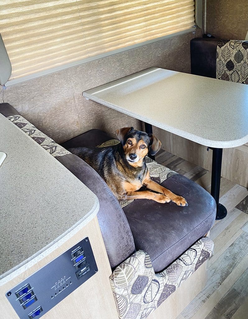 small dog is resting in a RV