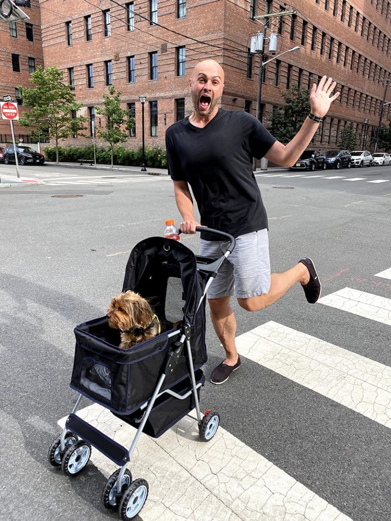 dog owner is posing to the camera while carrying his terrier dog in a dog black wagon