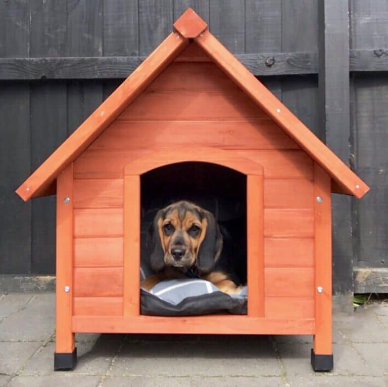 The 13 Best Extra Large XL Dog Houses Of 2024