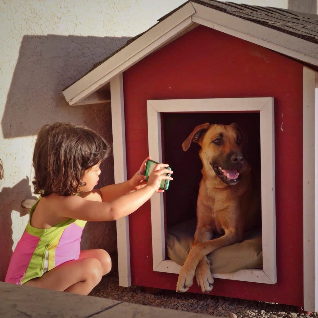 little girl is taking picture of her extra large dog enjoying himself in his dog house