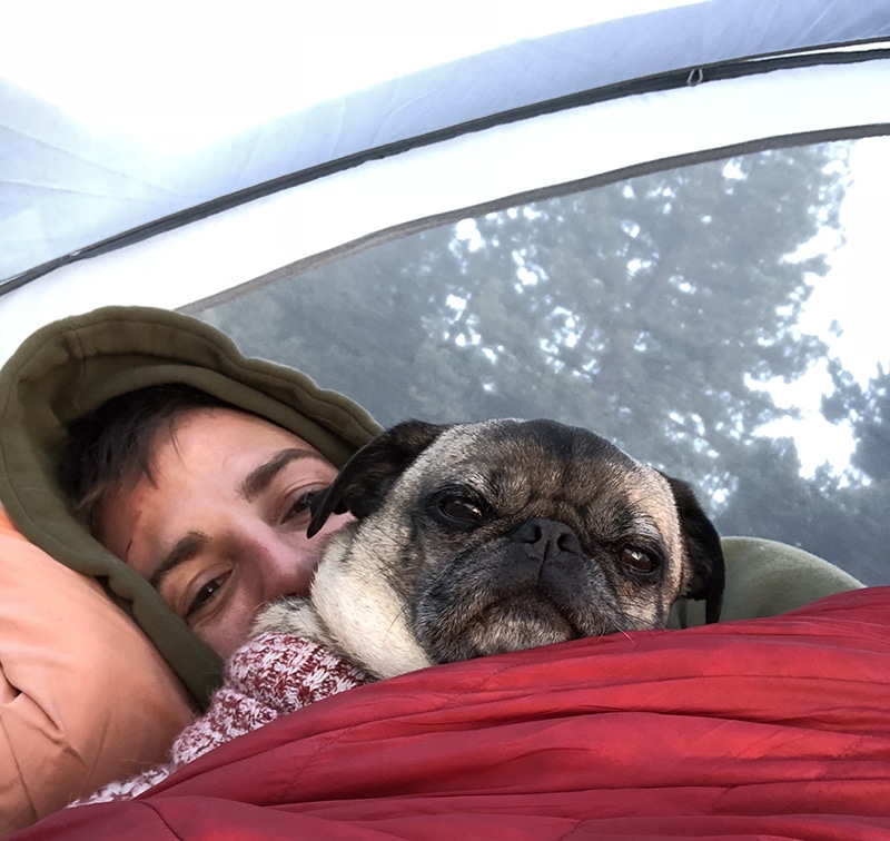 Pug and his owner both cuddling inside of red folding sleeping bag